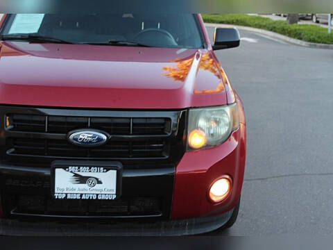 2010 Ford Escape XLT