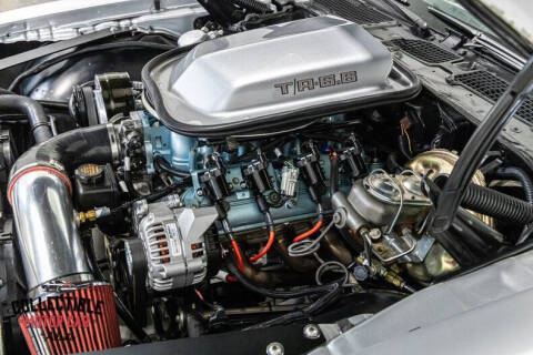 1981 Pontiac Firebird Trans Am