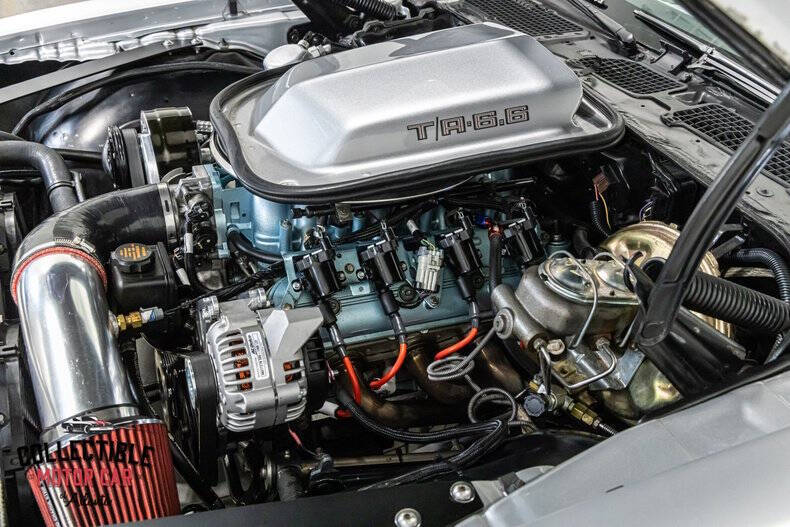 1981 Pontiac Firebird Trans Am
