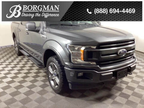 2020 Ford F-150 for sale at BORGMAN OF HOLLAND LLC in Holland MI