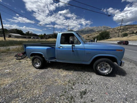 1982 Ford F-150 for sale at Classic Car Deals in Cadillac MI