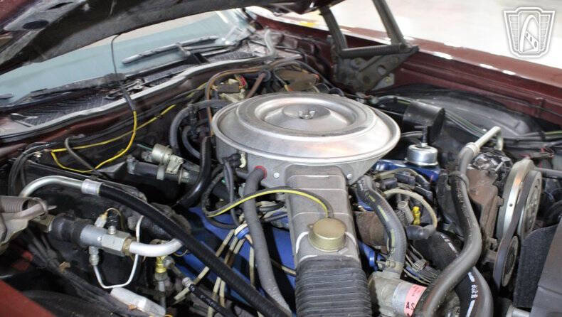 1979 Ford Thunderbird
