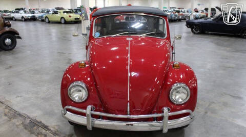 1967 Volkswagen Beetle