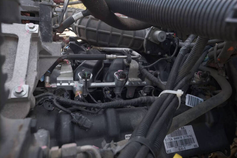 2018 Blue Bird Vision