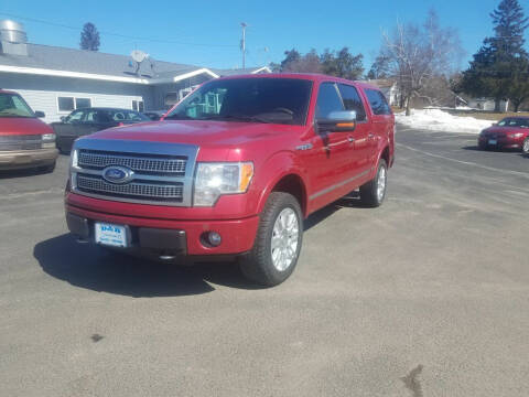 2010 Ford F-150 for sale at D AND D AUTO SALES AND REPAIR in Marion WI