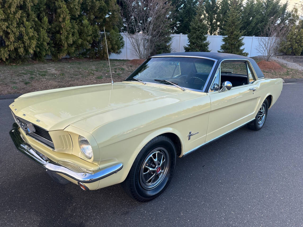 1966 Ford Mustang 3