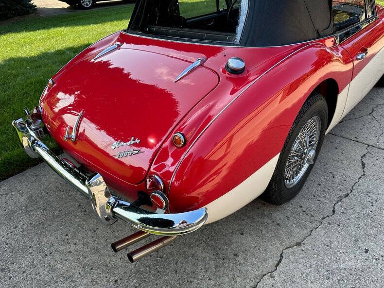 1966 Austin-Healey 3000