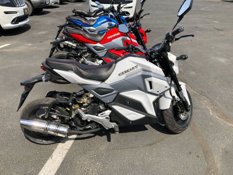 2022 DAIX ICE BEAR MINI MAX 50cc