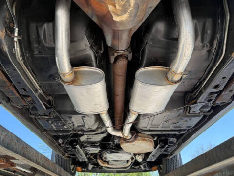 1981 Pontiac Firebird Trans Am