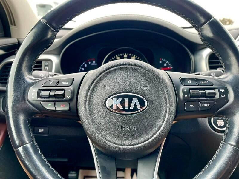 2017 Kia Sorento for sale at Top Gear Auto Sales LLC in Le Roy, MN