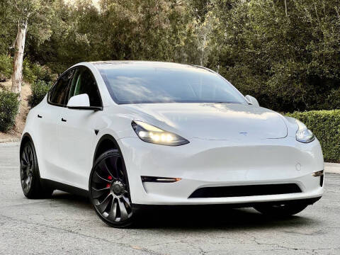 2022 Tesla Model Y Performance Photo