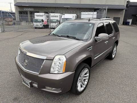 2013 Cadillac Escalade Platinum Edition