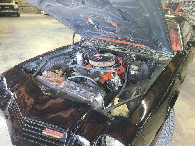 1981 Chevrolet Camaro Z28