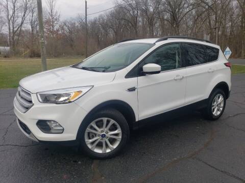 2018 Ford Escape for sale at Depue Auto Sales Inc in Paw Paw MI