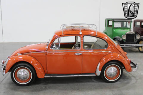 1965 Volkswagen Beetle
