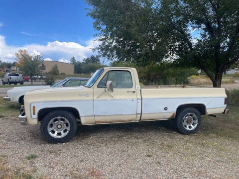 1976 Chevrolet C/K 2500 Series for sale at Skyway Auto INC in Durango CO