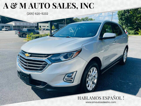 2019 Chevrolet Equinox for sale at A & M Auto Sales, Inc in Alabaster AL