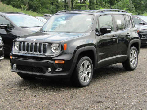 2023 Jeep Renegade for sale at Brunswick Auto Mart in Brunswick OH