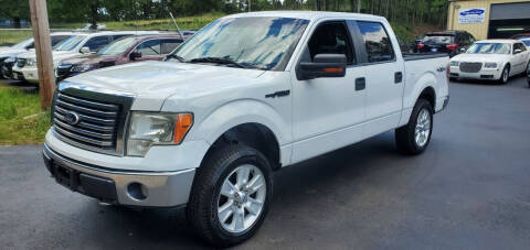 2010 Ford F-150 for sale at GEORGIA AUTO DEALER LLC in Buford GA