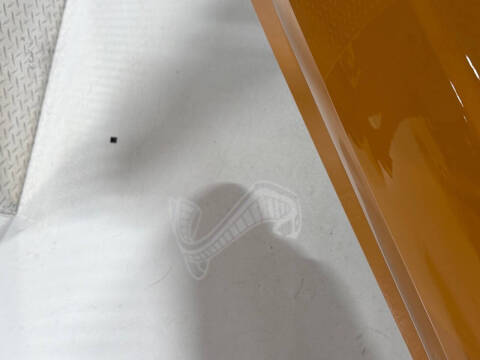 2019 Ford Mustang Shelby GT350