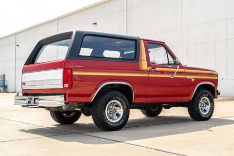 1981 Ford Bronco