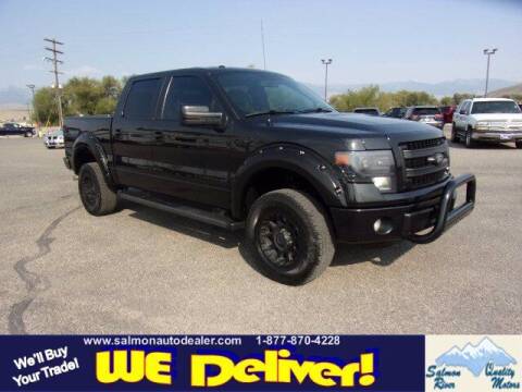 2014 Ford F-150 for sale at QUALITY MOTORS in Salmon ID