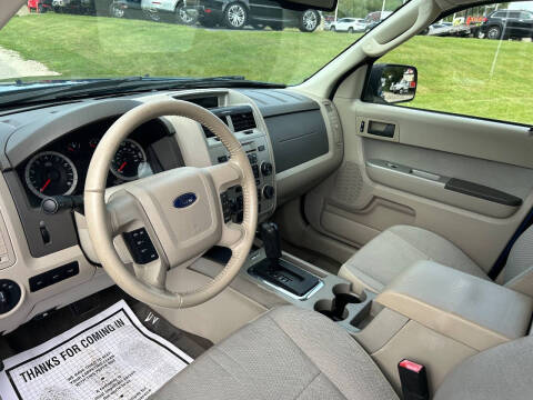 2011 Ford Escape XLT