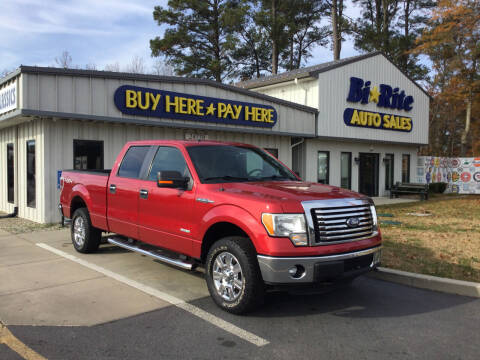 2011 Ford F-150 for sale at Bi Rite Auto Sales in Seaford DE