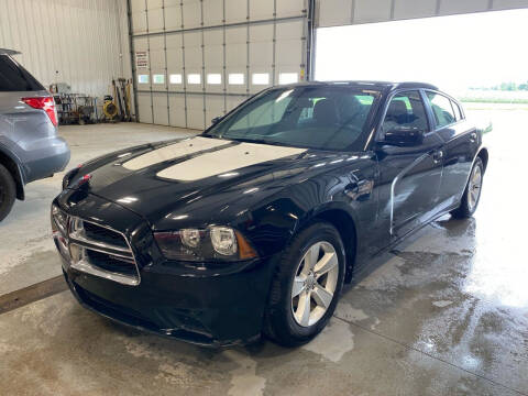 2014 Dodge Charger for sale at RDJ Auto Sales in Kerkhoven MN