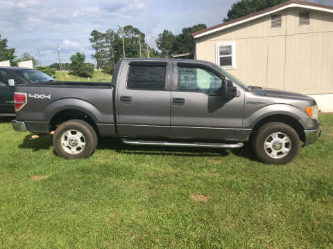 2010 Ford F-150 for sale at Lakeview Auto Sales LLC in Sycamore GA