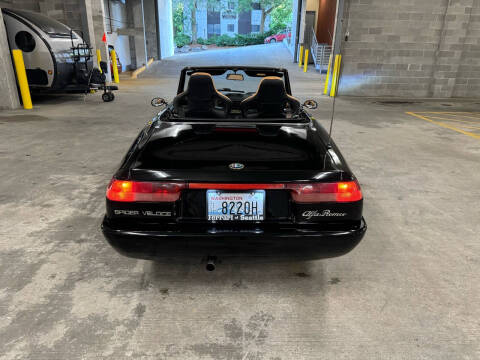 1993 Alfa Romeo Spider Veloce