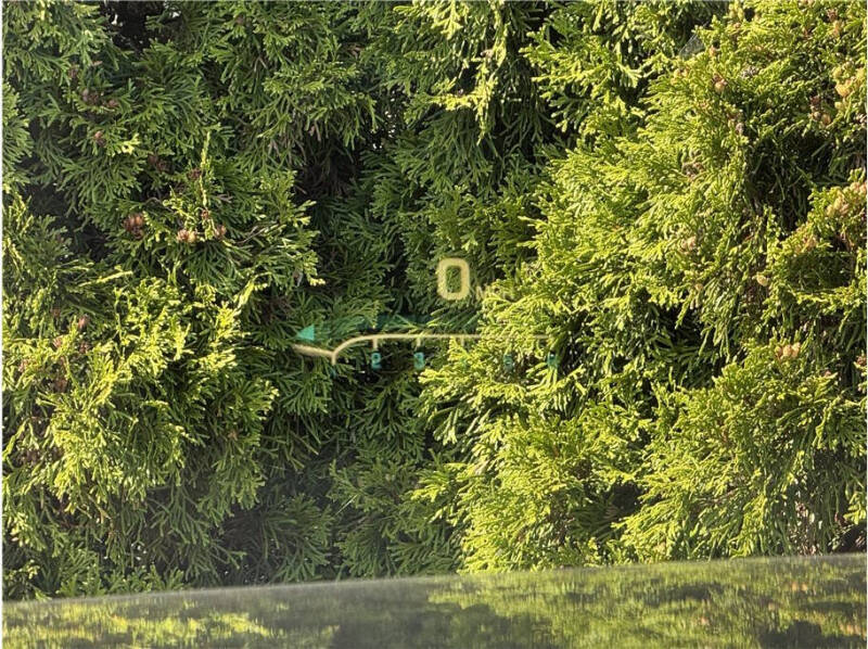 2015 Cadillac Escalade Luxury