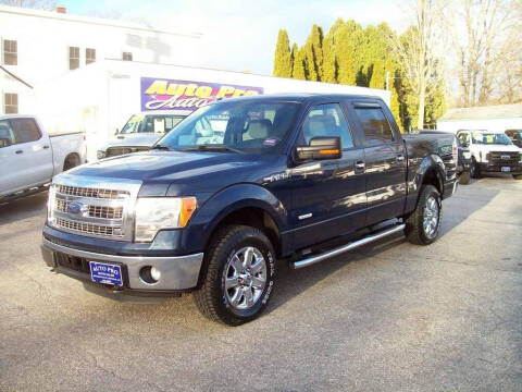 2014 Ford F-150 for sale at Auto Pro Auto Sales in Lewiston ME