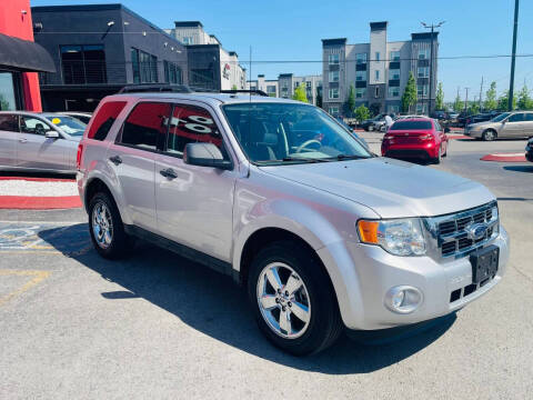 2010 Ford Escape XLT