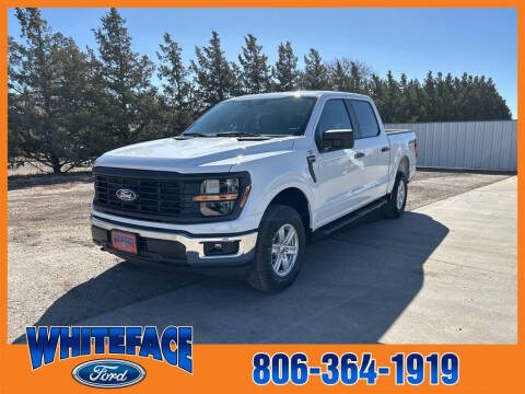 2025 Ford F-150 for sale at Whiteface Ford in Hereford TX