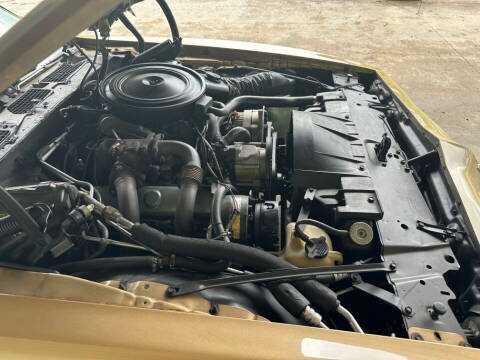 1980 Pontiac Firebird Trans Am