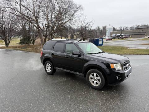 2010 Ford Escape Limited