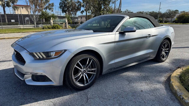 2017 Ford Mustang for sale at ABSOLUTE FLORIDA CARS LLC in TAMPA, FL