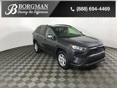 2019 Toyota RAV4 for sale at BORGMAN OF HOLLAND LLC in Holland MI