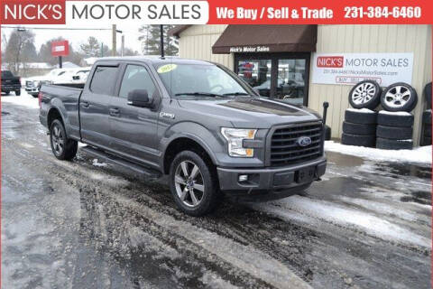 2017 Ford F-150 for sale at Nick's Motor Sales in Kalkaska MI