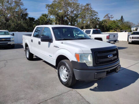 2014 Ford F-150 for sale at Mike's Trucks & Cars in Port Orange FL