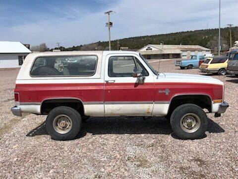 1984 Chevrolet Blazer for sale at Great Plains Classic Car Auction in Rapid City SD