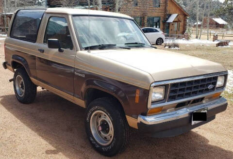 1987 Ford Bronco for sale at Classic Car Deals in Cadillac MI