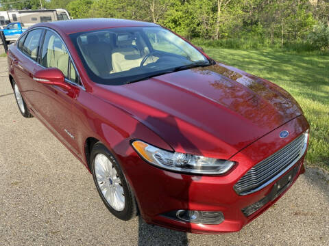 2015 Ford Fusion Hybrid for sale at S & L Auto Sales in Grand Rapids MI
