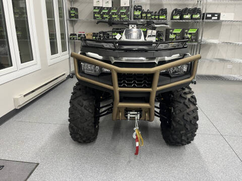 2024 Arctic Cat Alterra 600