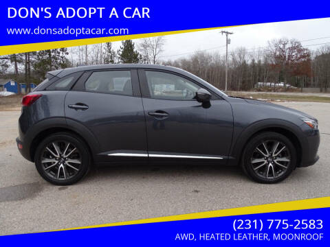 2017 Mazda CX-3 for sale at DON'S ADOPT A CAR in Cadillac MI