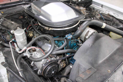 1979 Pontiac Trans Am