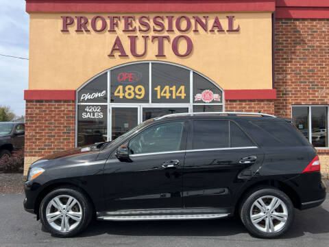 2013 Mercedes-Benz M-Class for sale at Professional Auto Sales & Service in Fort Wayne IN