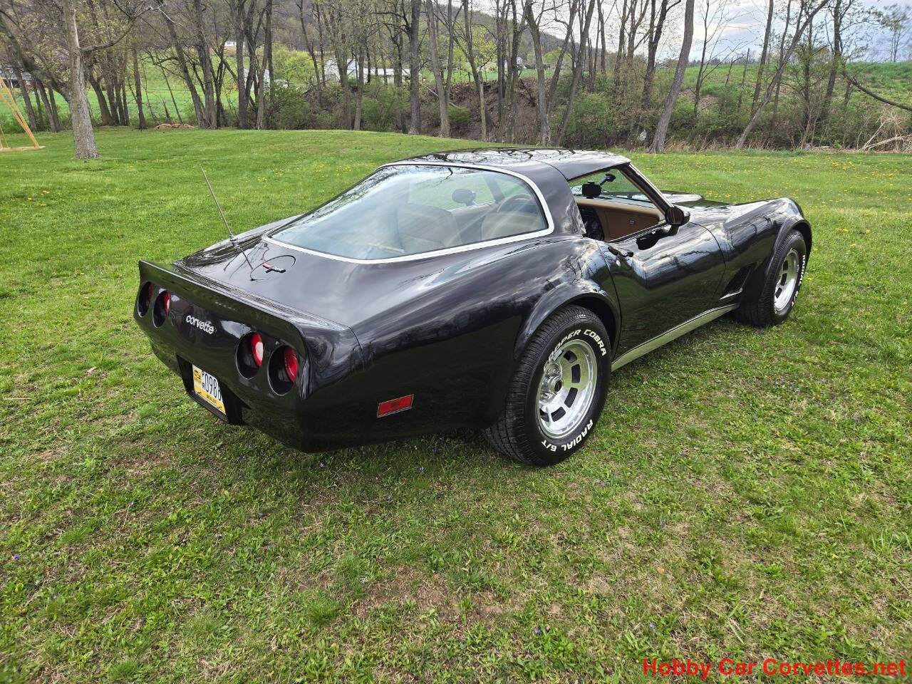 1981 Chevrolet Corvette 6