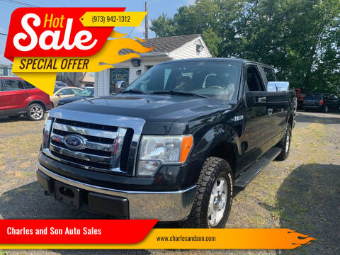 2010 Ford F-150 for sale at Charles and Son Auto Sales in Totowa NJ